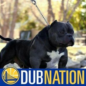 Meet your Posher, Karmelo